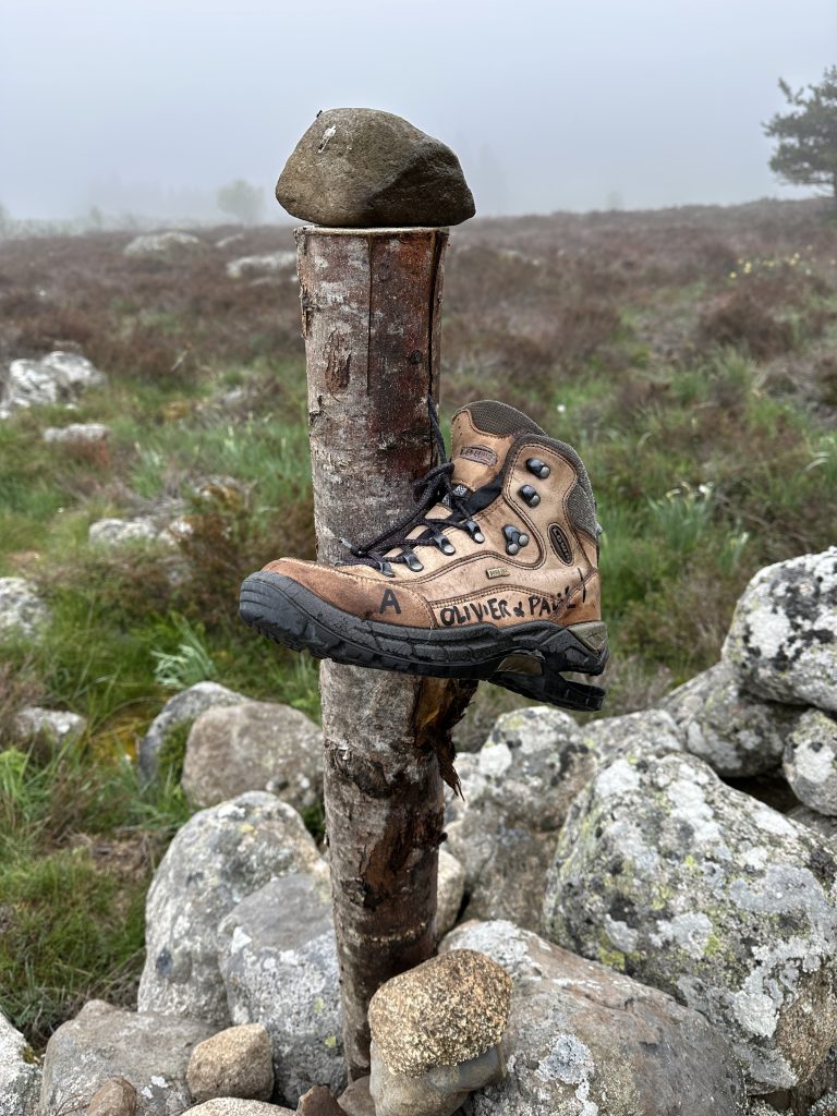 Chemin de Compostelle experience