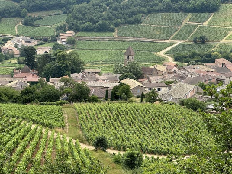 Macon Burgundy France